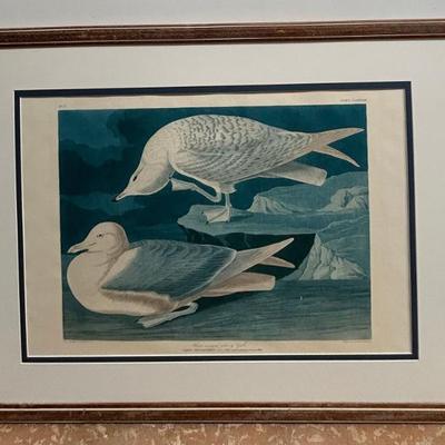 Sale Photo Thumbnail #261