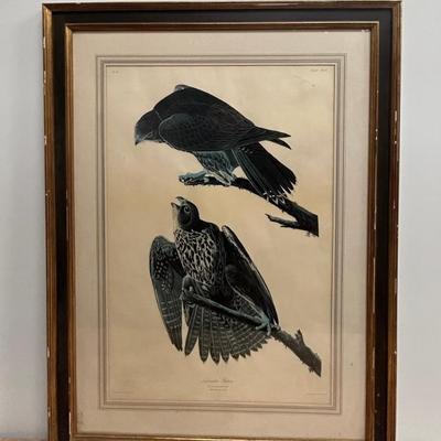 Sale Photo Thumbnail #260