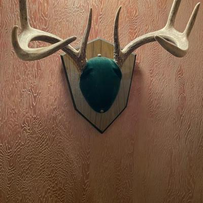 Sale Photo Thumbnail #211