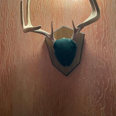 Sale Photo Thumbnail #207