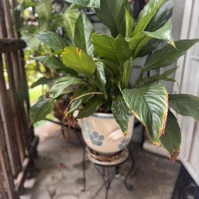 Sale Photo Thumbnail #135