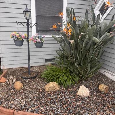 Sale Photo Thumbnail #11