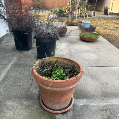 Sale Photo Thumbnail #30