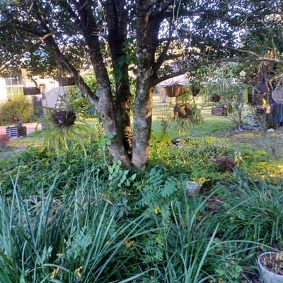 Sale Photo Thumbnail #48