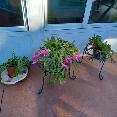 Sale Photo Thumbnail #42