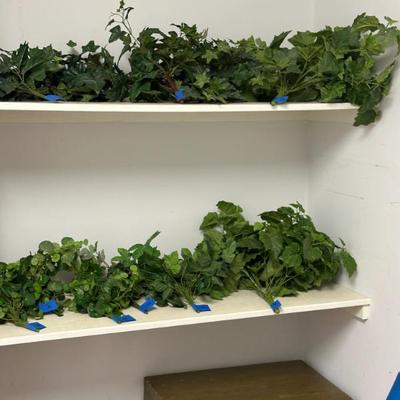 Sale Photo Thumbnail #269