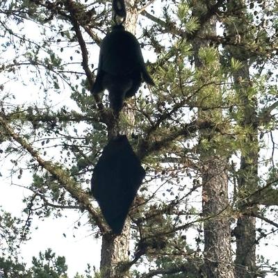 Sale Photo Thumbnail #165