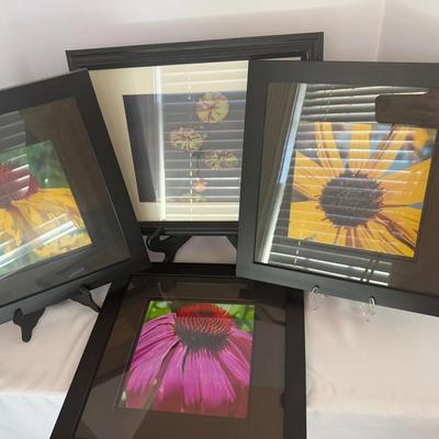 Framed Floral Theme Mixed Prints