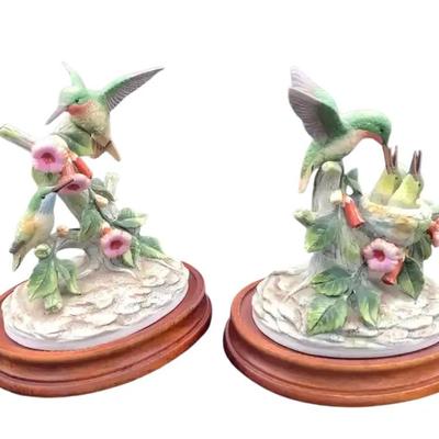 Ruby Throated Hummingbirds By Andrea