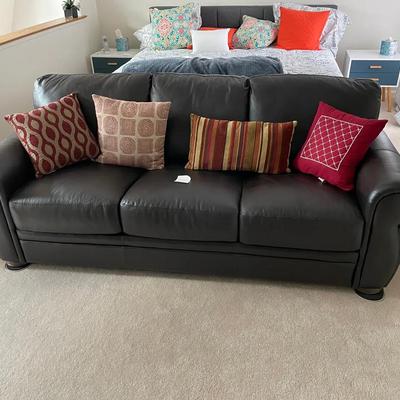 Contemporary Sleeper Sofa