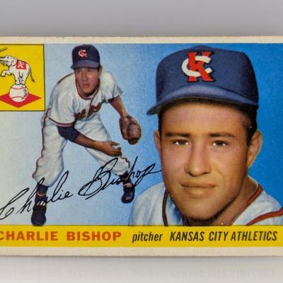 Sale Photo Thumbnail #68