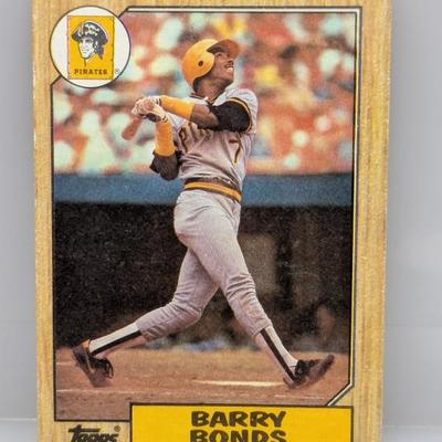 Sale Photo Thumbnail #351