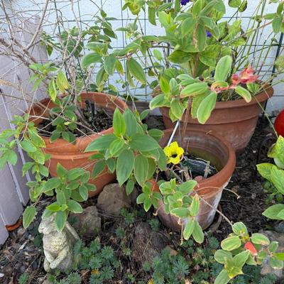 Sale Photo Thumbnail #362