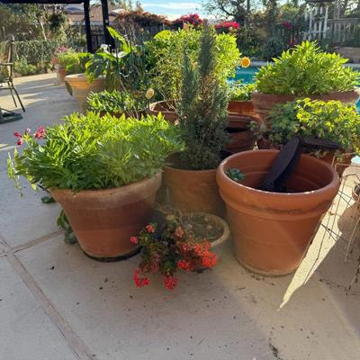 Sale Photo Thumbnail #346