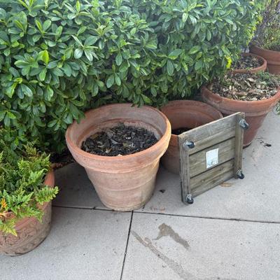 Sale Photo Thumbnail #383