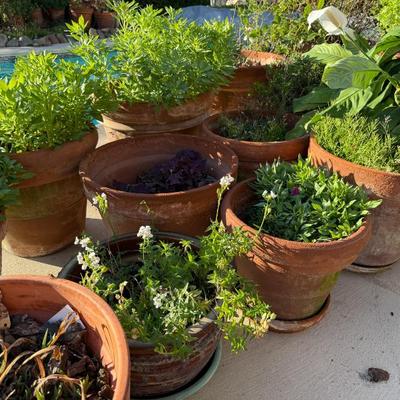 Sale Photo Thumbnail #356