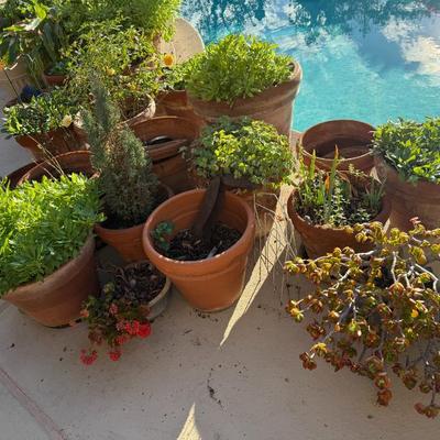 Sale Photo Thumbnail #345