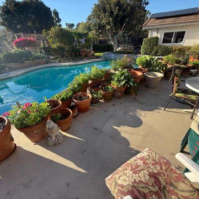 Sale Photo Thumbnail #355