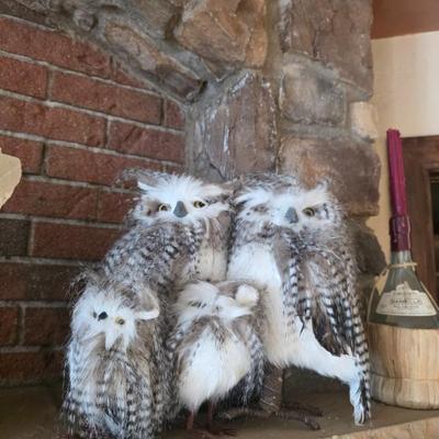 Sale Photo Thumbnail #7