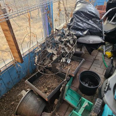 Sale Photo Thumbnail #71