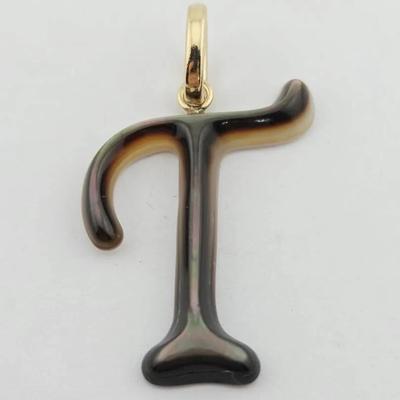 14k Gold Mother Of Pearl "T" Initial Pendant 