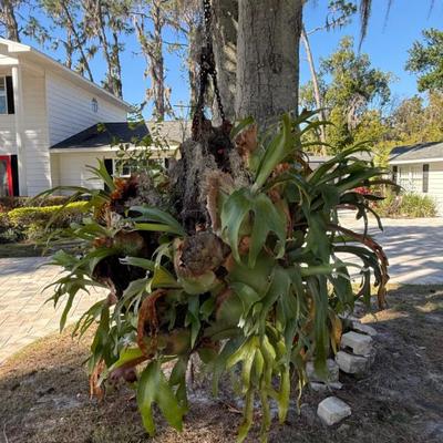 Sale Photo Thumbnail #209