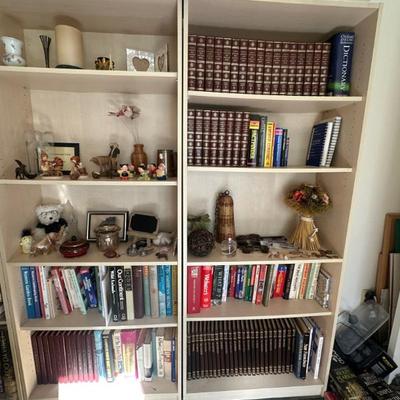 Bookshelves and books