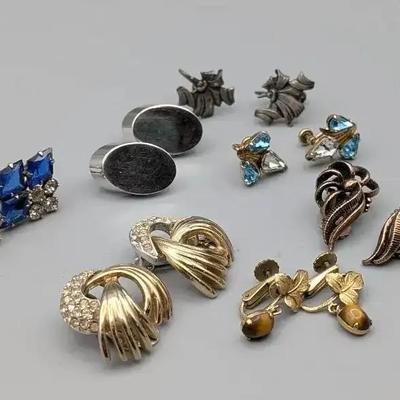 Screw Back and Clip Earrings