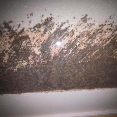 Sale Photo Thumbnail #70