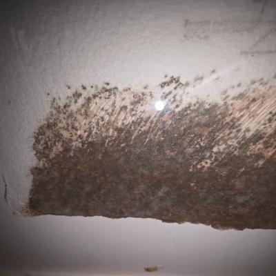 Sale Photo Thumbnail #69