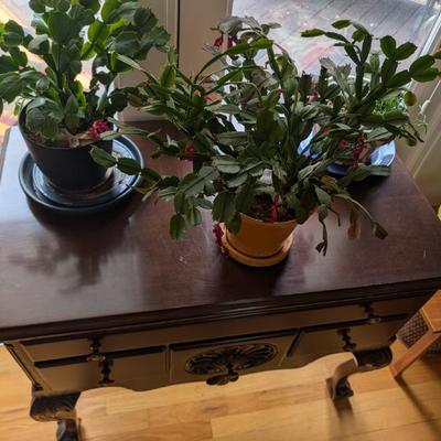 Sale Photo Thumbnail #82