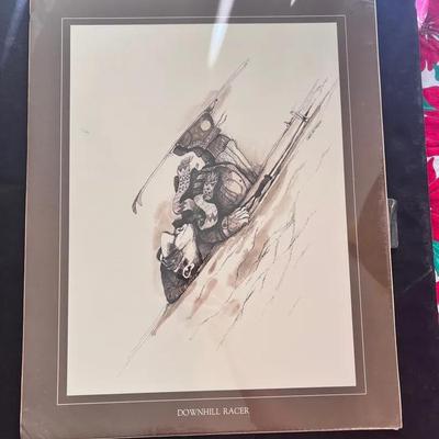 Downhill Skier Art Print Wall Hanging 20L x 16W