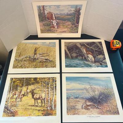Art Prints Deer Buck Cow Weasel Bunnies Ground Squirrel (5)
