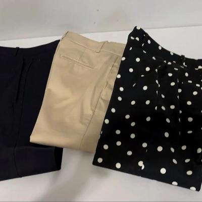 Ann Taylor Dress Pants