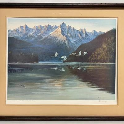 Venture Coy (Signed and Numbered Print)