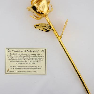 Forever Rose 24K Gold-Dipped Rose with Original Box & Certificate
