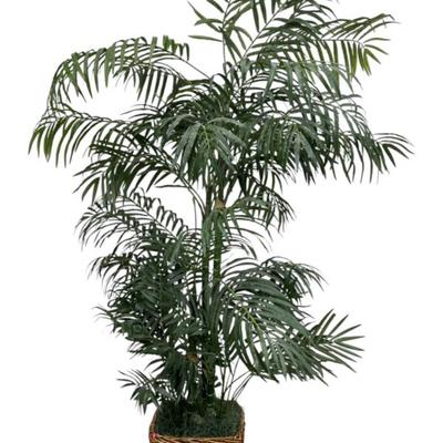 Sale Photo Thumbnail #489