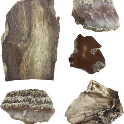 Sale Photo Thumbnail #732