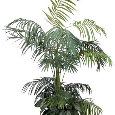 Sale Photo Thumbnail #666