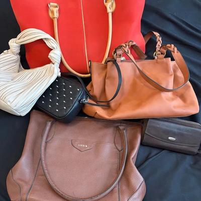 Purse Collection and Wallet