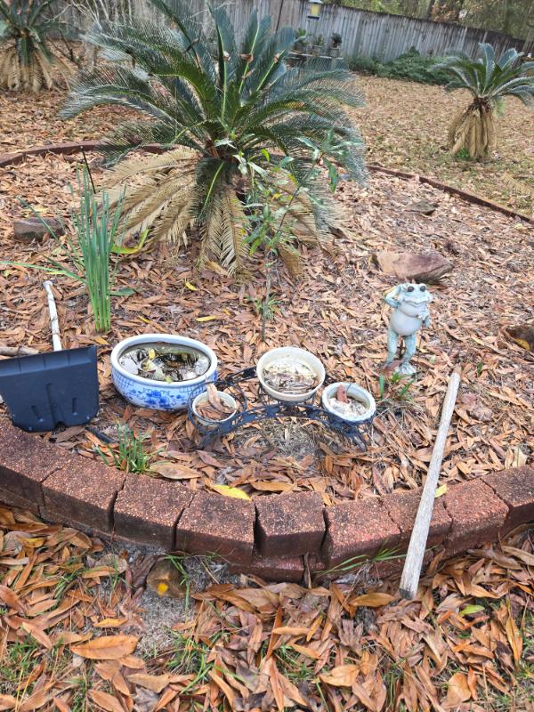 Sale Photo Thumbnail #14