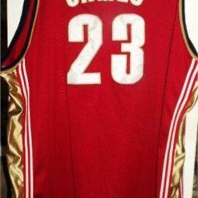 Lot 068   
LeBron James Cleveland Cavaliers Jersey 6XL