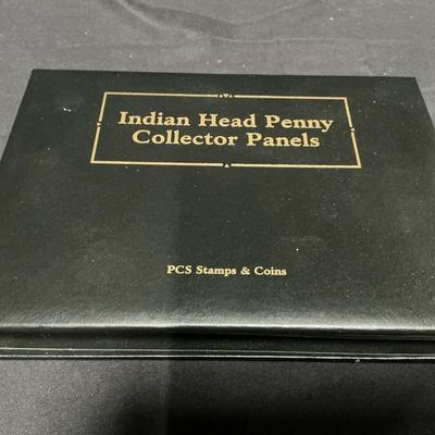 Indian Head Penny Collectors Panel PCS Stamps And Coins 
