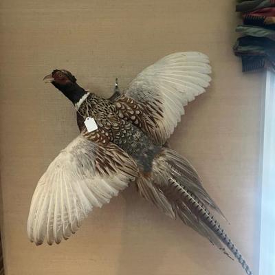 Sale Photo Thumbnail #19