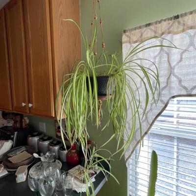 Sale Photo Thumbnail #84