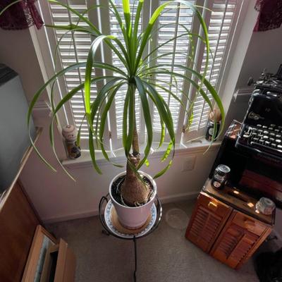 Sale Photo Thumbnail #76