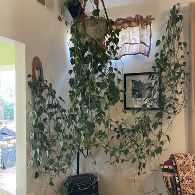 Sale Photo Thumbnail #74