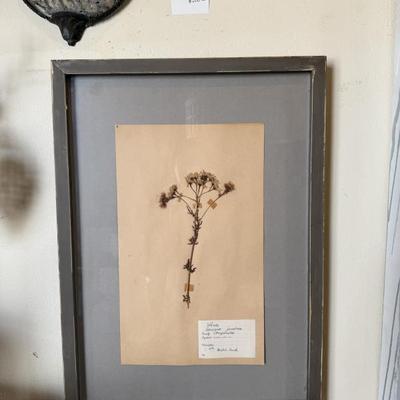 Sale Photo Thumbnail #50