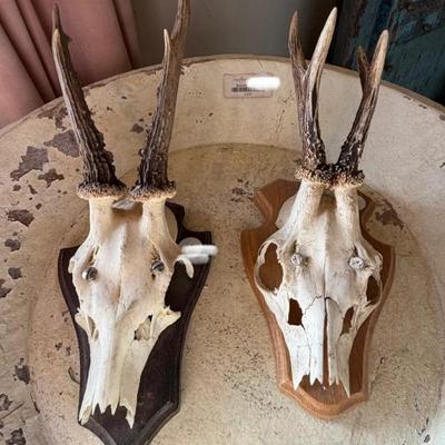 Sale Photo Thumbnail #55