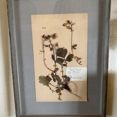 Sale Photo Thumbnail #49